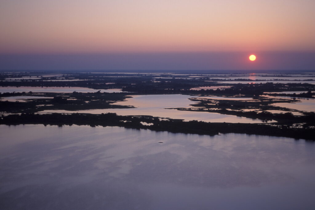 Parque Nacional do Pantanal Mato-Grossense - Zig Koch