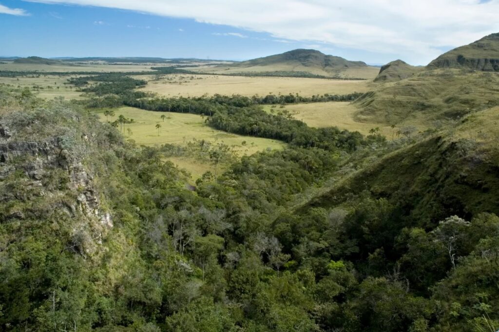 Parque-Nacional-da-Chapada-dos-Veadeiros-Zig-Koch-011