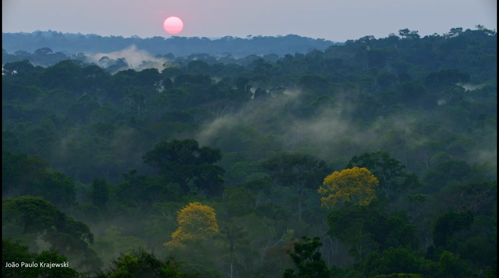 Tribunal de Justiça de MT derruba proteção de uma das mais importantes UCs da Amazônia mato-grossense