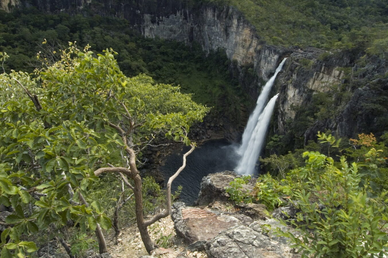 Sistema Nacional de Unidades de Conservação da Natureza faz 25 anos