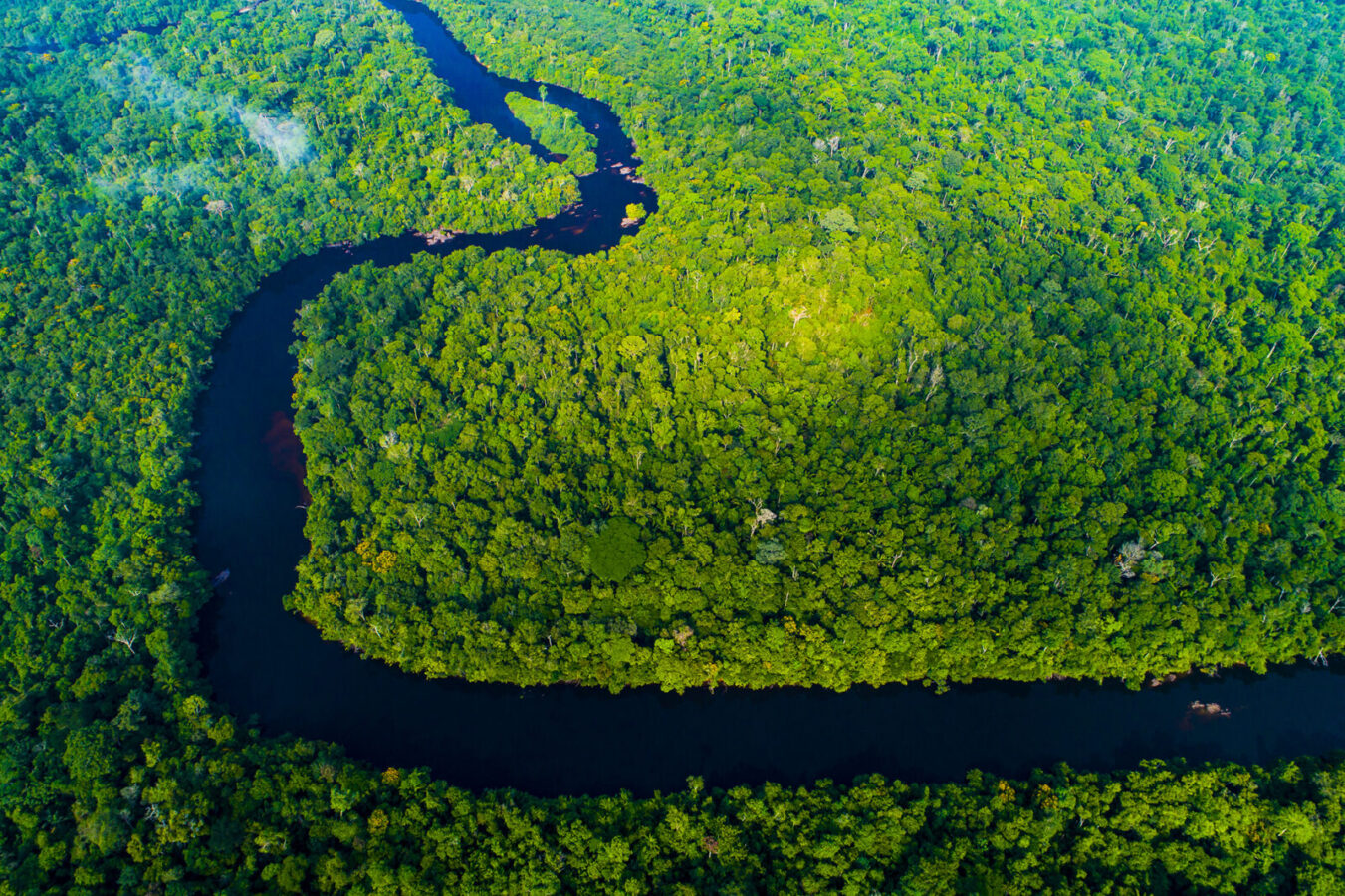 Decisão da Justiça do MT de anular criação de parque pode agravar crise climática, alerta carta publicada na revista ‘Science’