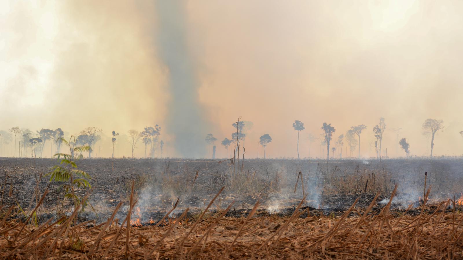 Fogo avança sobre Parque Estadual Cristalino II e consome área de quase mil campos de futebol