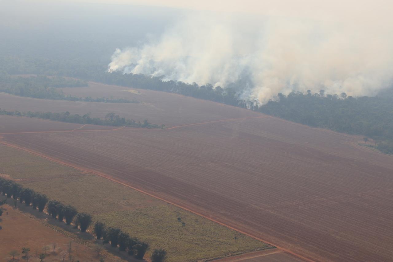 Parque Estadual Cristalino II, na Amazônia, sofre com incêndios