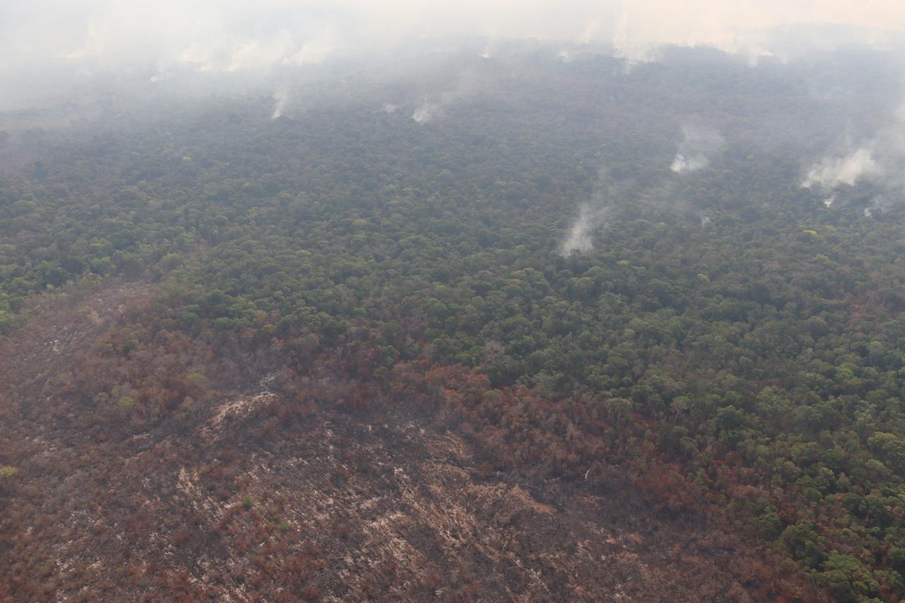 Emergência climática: queimadas na Amazônia e Pantanal em discussão no STF