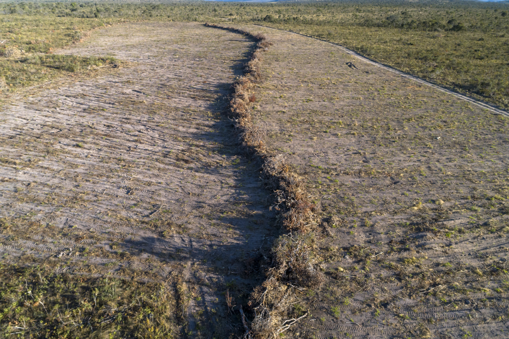 Unidades de Conservação: Nossas Barreiras Urgentes Contra a Catástrofe Climática