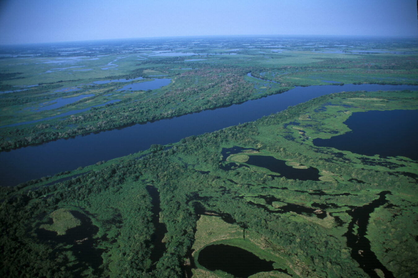 Pantanal pede socorro: projeto de ampliação de parques que aguarda sanção presidencial pode evitar colapso do bioma
