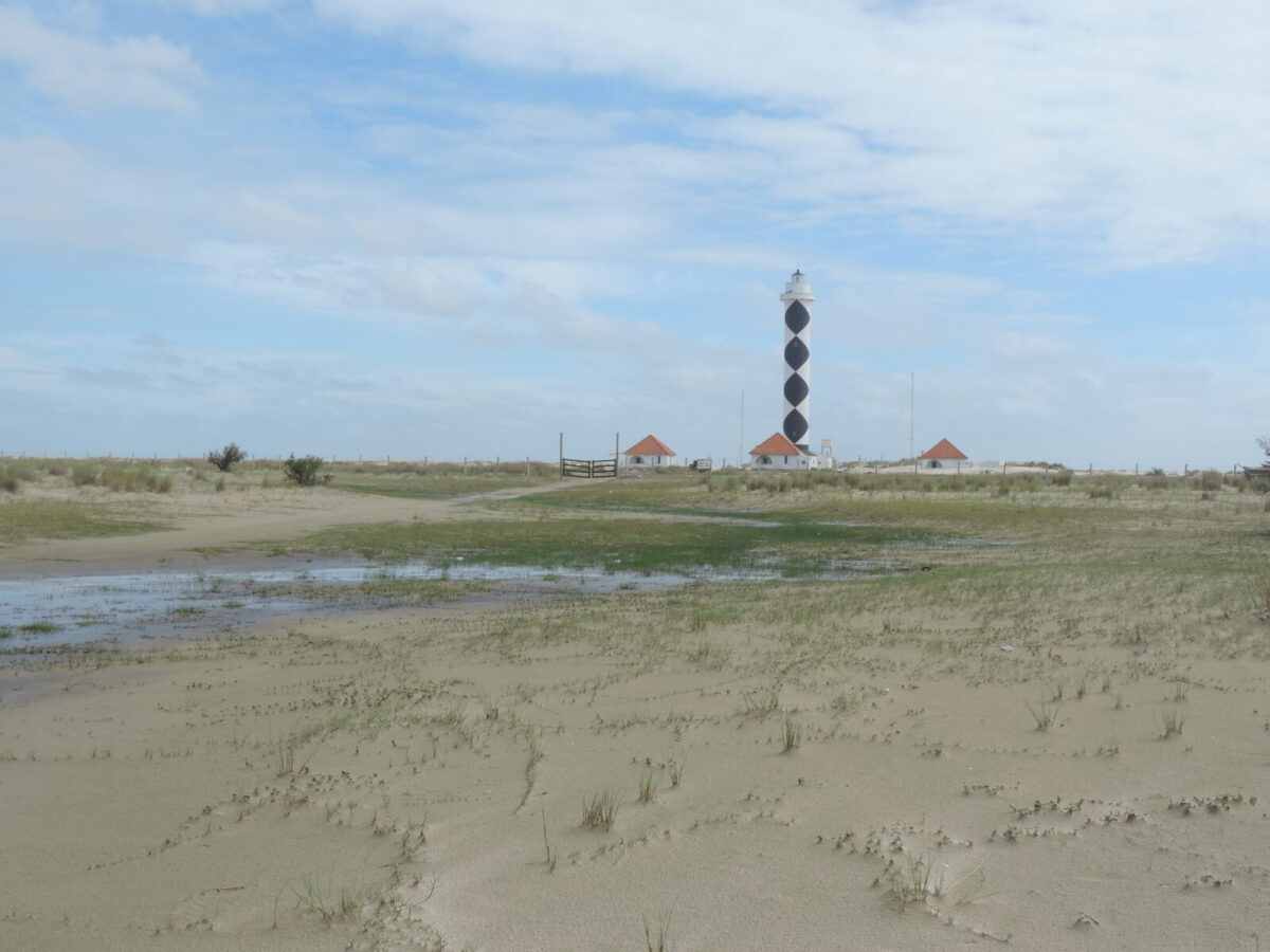 UC do Albardão: o maior parque marinho que o Brasil decidiu proteger